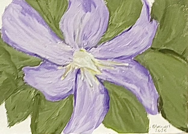 Pale Clematis