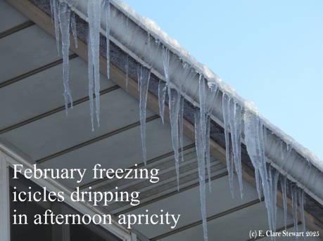 February freezing