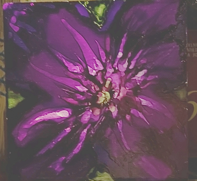 Clematis