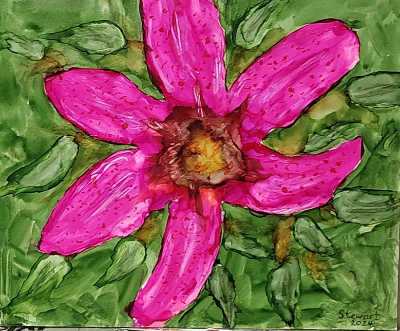 Pink Lily