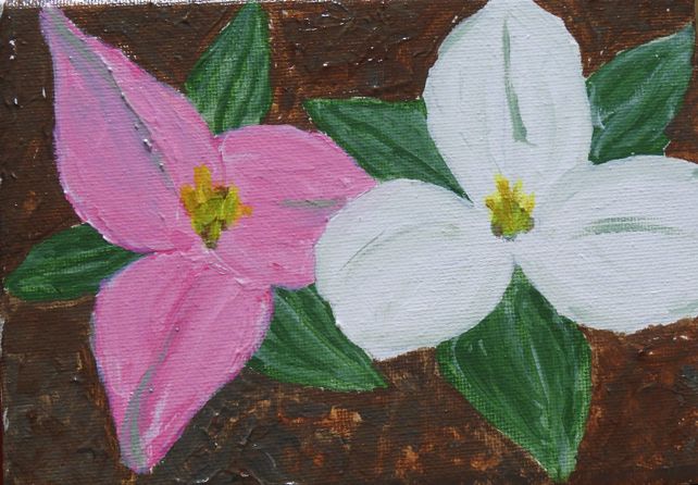 O'Keeffe Trilliums