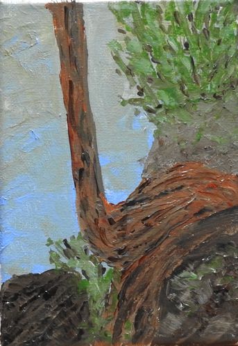 Dali Cedar Tree