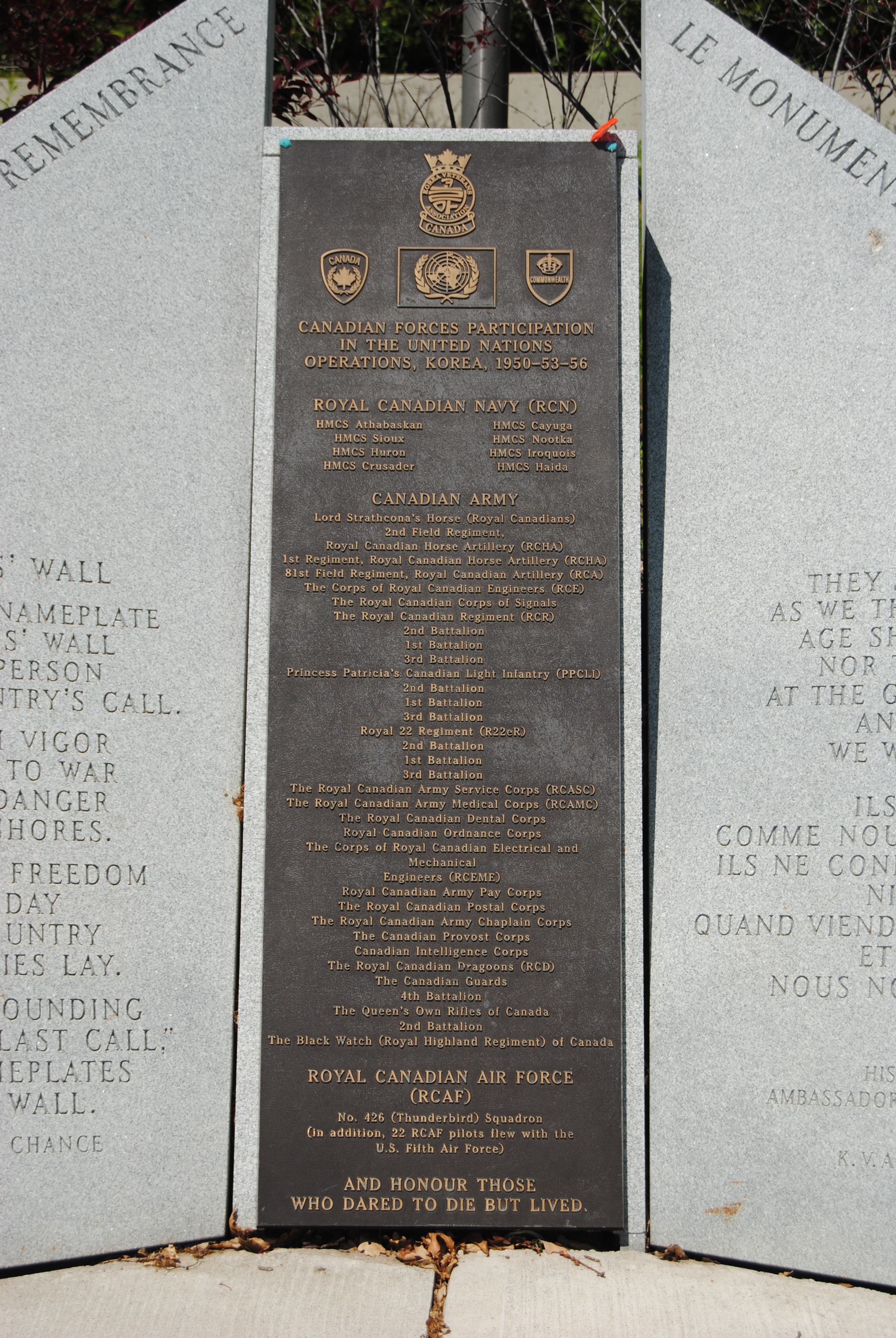 Plaque