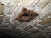 Ventilation hole