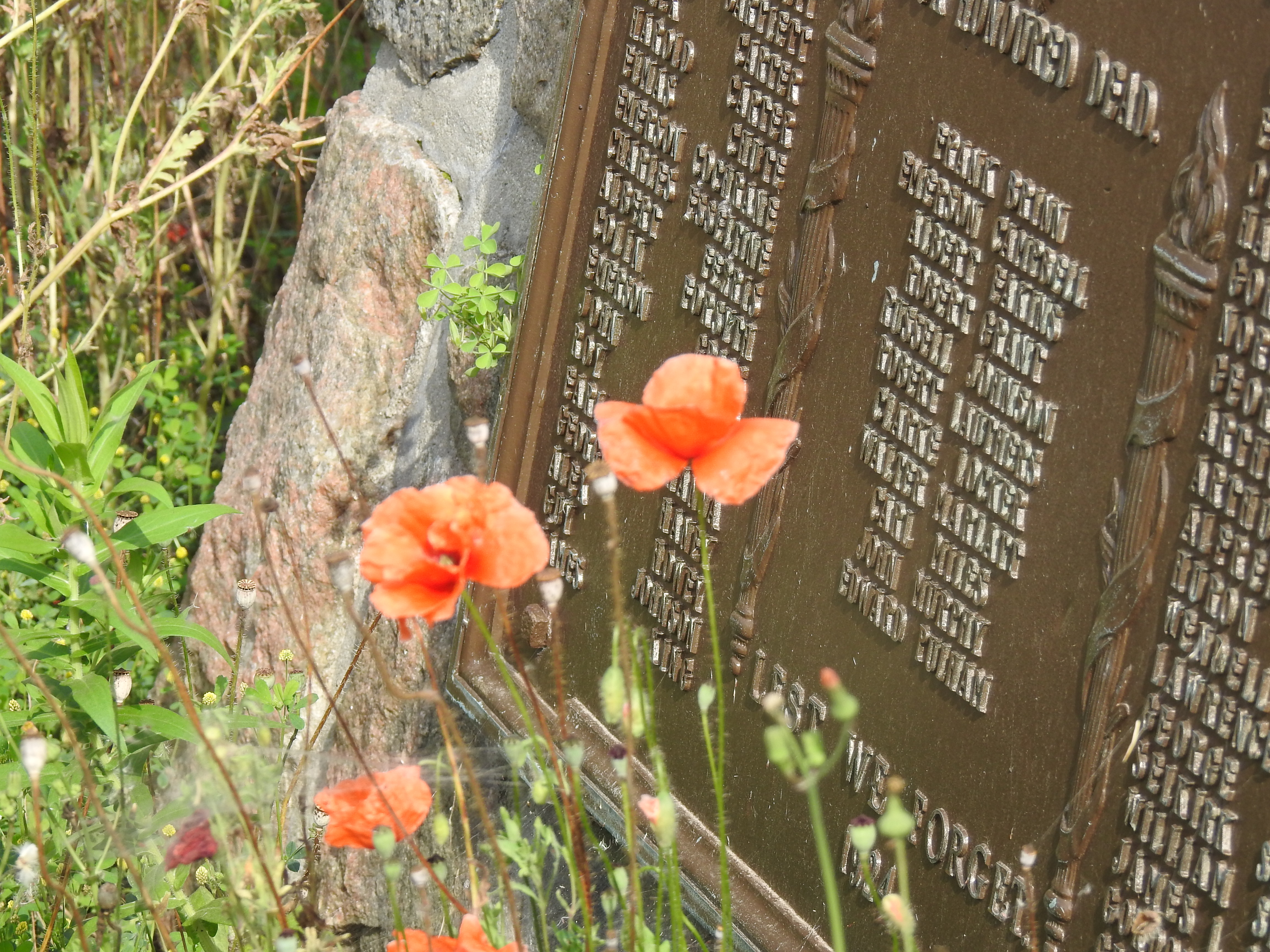 1914 - 1918 War Dead & served