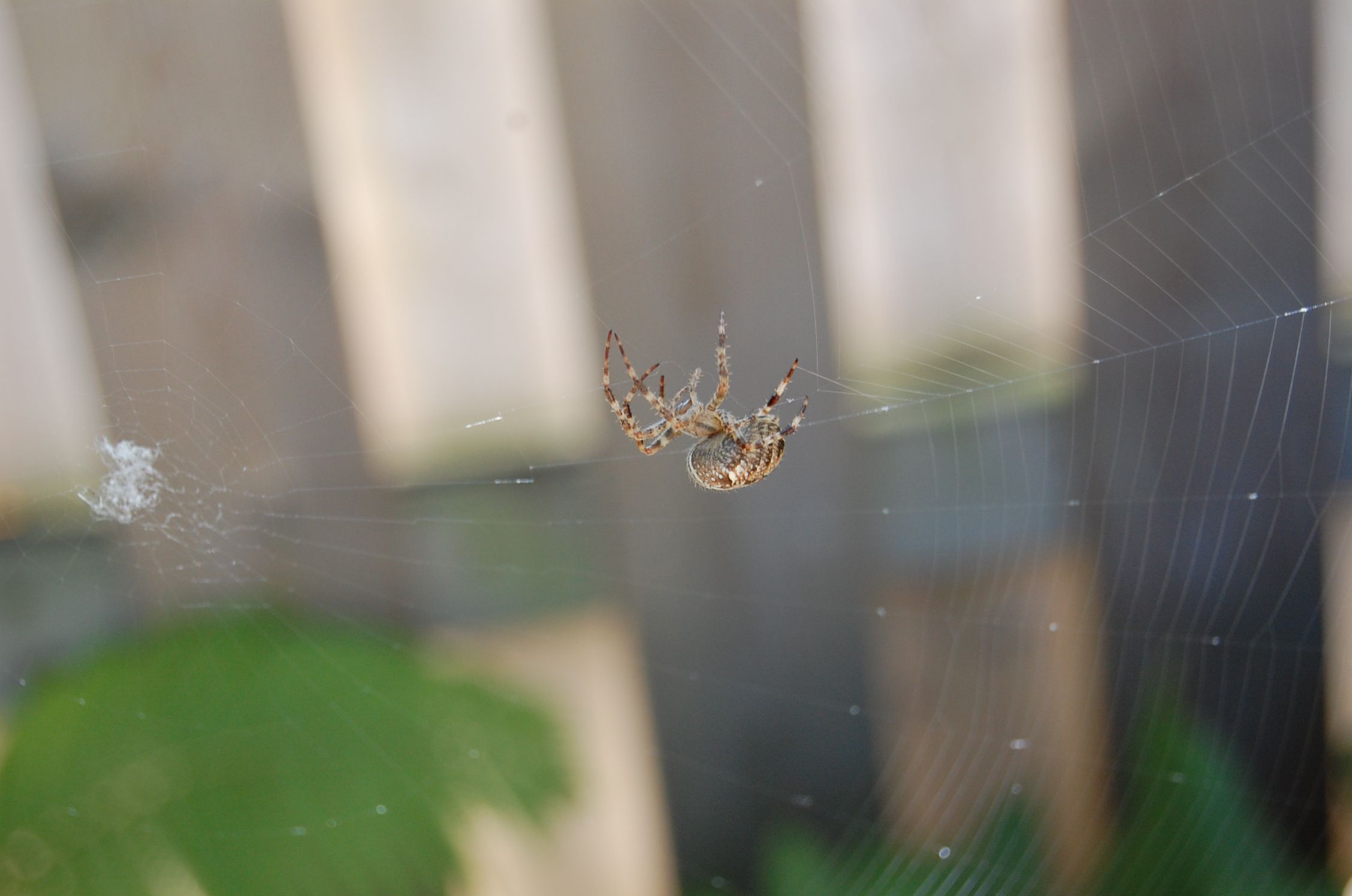 Spinner at work