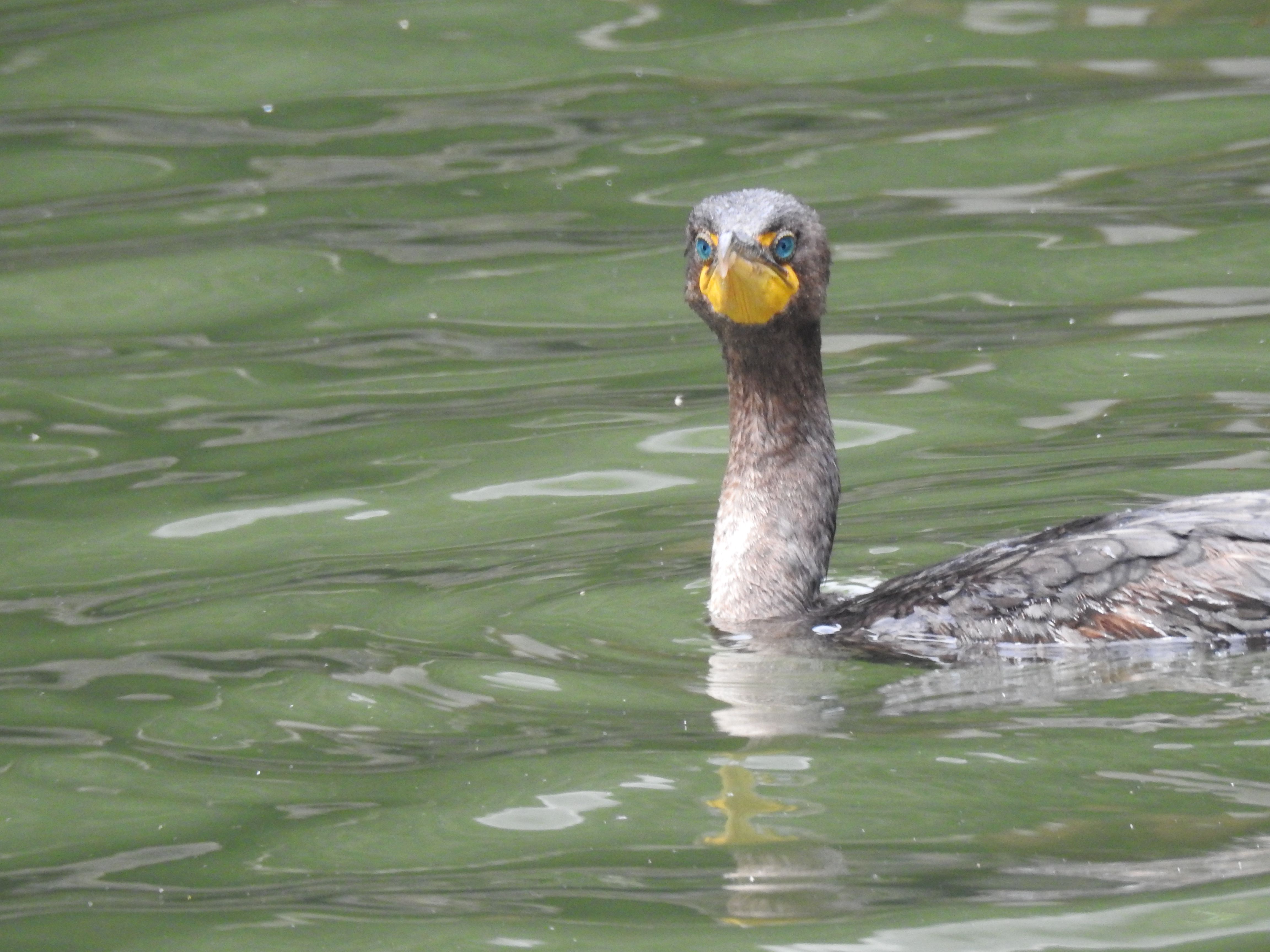 Who are you looking at?
