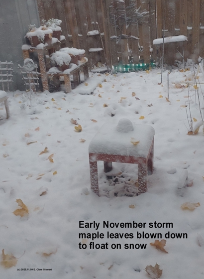 Early November Storm
